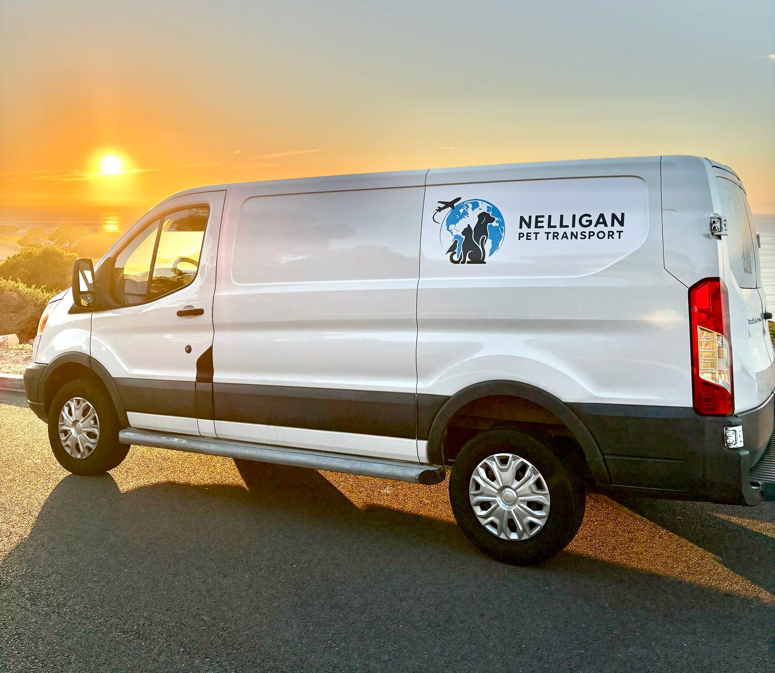 A white van with a logo for Nelligan Pet Transport parked outdoors during sunset, overlooking a body of water and trees in the background.